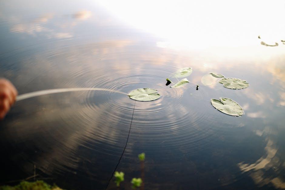 Essential Features to Look for ⁢in Eco-Kind Water Filters