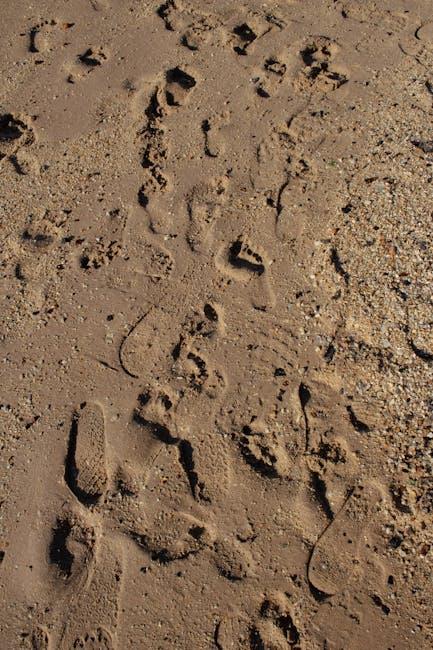 Recommendations ​for Trail Enthusiasts: Finding ⁢the ⁢right Fit and‍ Features with Vivo ⁢Barefoot
