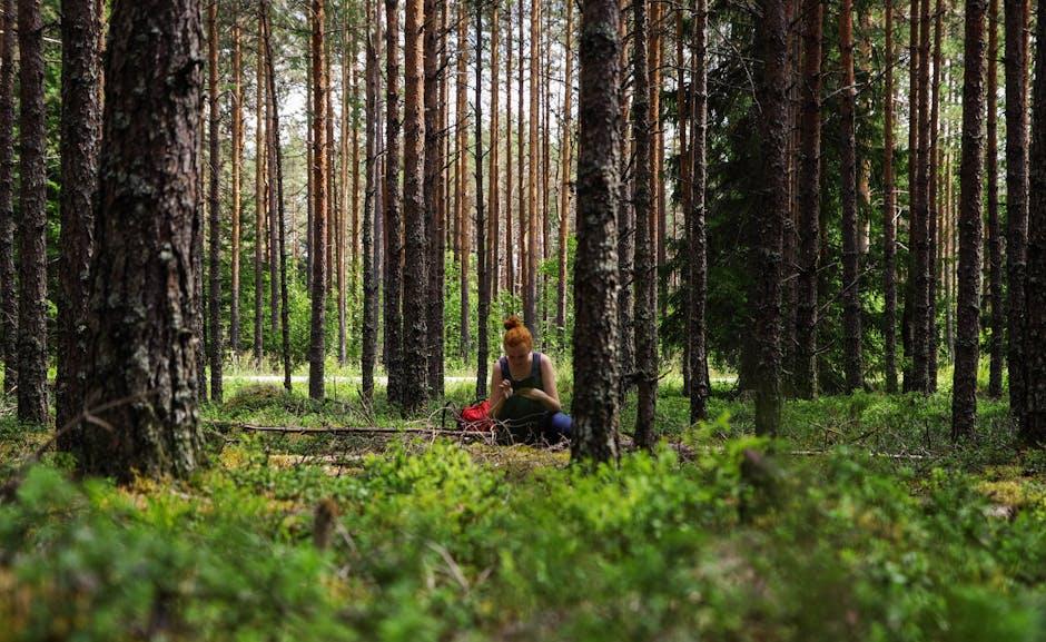 Choosing Your Champion: Recommendations for the Eco-Conscious ​Explorer