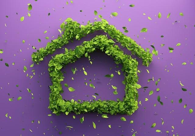 Navigating Sustainability: How Technology Guides Eco-Friendly Choices