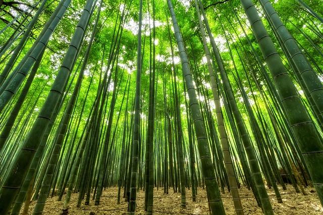 Evaluation of Durability in‌ Bamboo travel Accessories