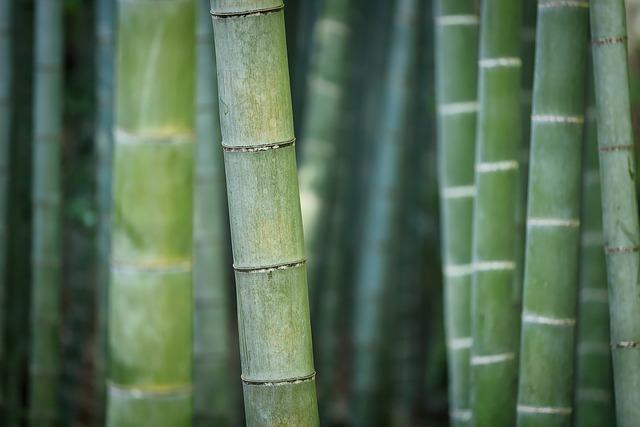 Sustainability Considerations for⁣ Long-Term Use
