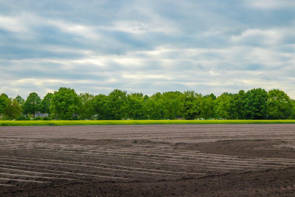 Top Picks‍ for Eco-Conscious ​Yogis: Enduring Options Explored