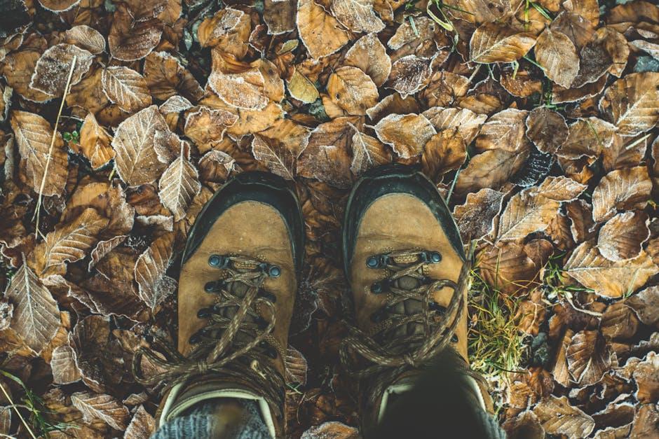 User Experiences ⁢and Feedback: What the‍ Hikers Say