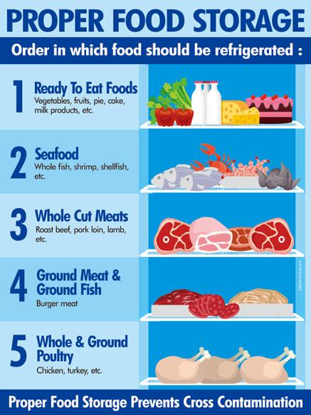 best Practices for Food Storage Safety in​ the Wilderness