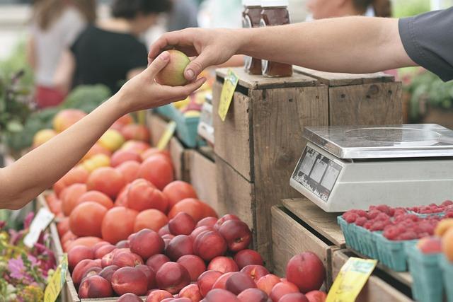 Understanding Consumer‍ Behavior in time-Sensitive Travel Offers