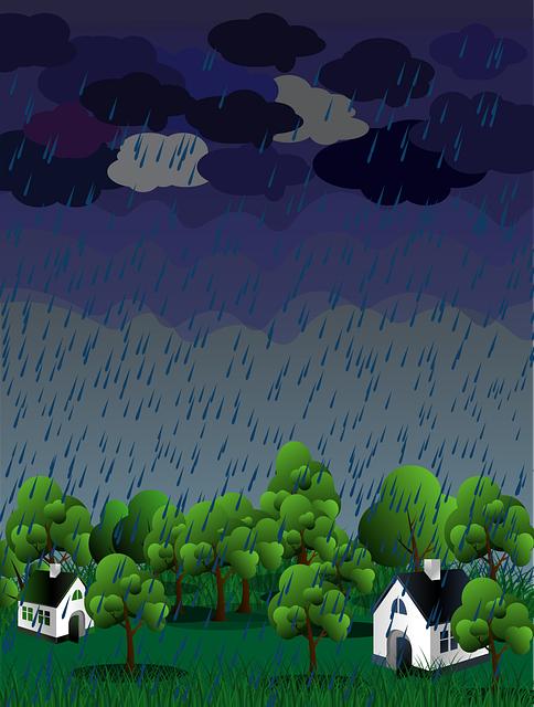 Value for Money: Analyzing Cost vs. Performance for Rain Shells in the Pacific Northwest
