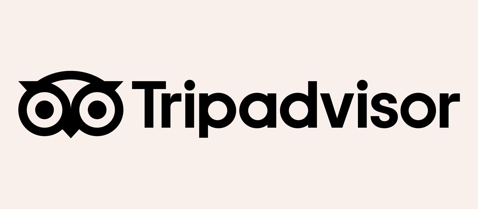 Exploring ‌the Financial ⁣Landscape of⁢ TripAdvisor's Booking Commission
