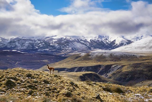 Recommendations for Trailblazers: Making the Most ​of Your Patagonia Gear