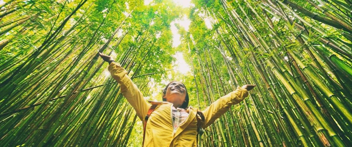 Top Recommendations for Travelers Prioritizing sustainability