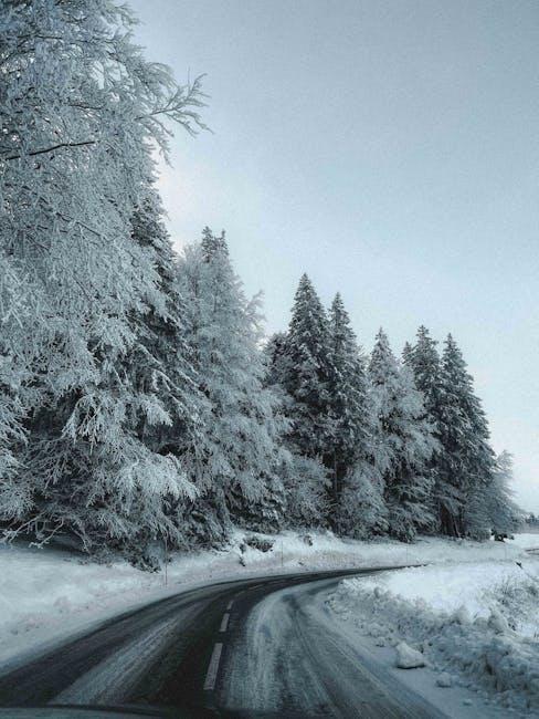 Seasonal Travel Promotion Strategy: Maximizing Affiliate Revenue During Peak Booking Periods