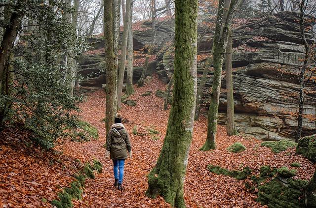 Technical Hiking Pants Comparison: Durability Testing After 500 Miles on Rough Terrain