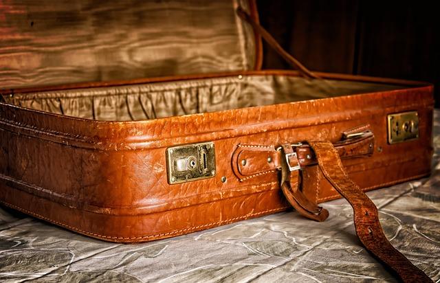 Béis vs Calpak: Battle of the Instagram-Famous Luggage Brands for Style-Conscious Travelers