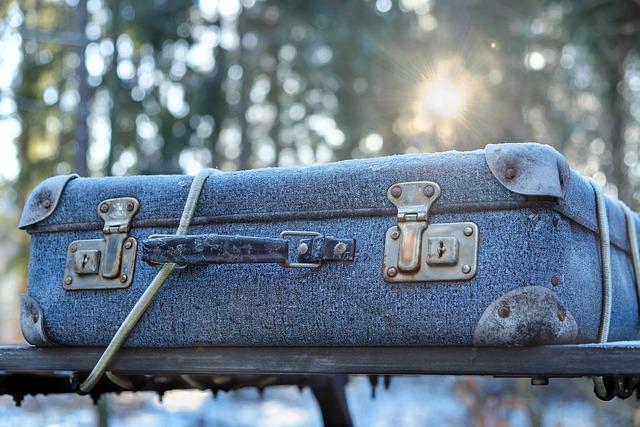 The Ultimate Guide to Luggage Tags: Which Designs Balance Style and Durability for Frequent Flyers?