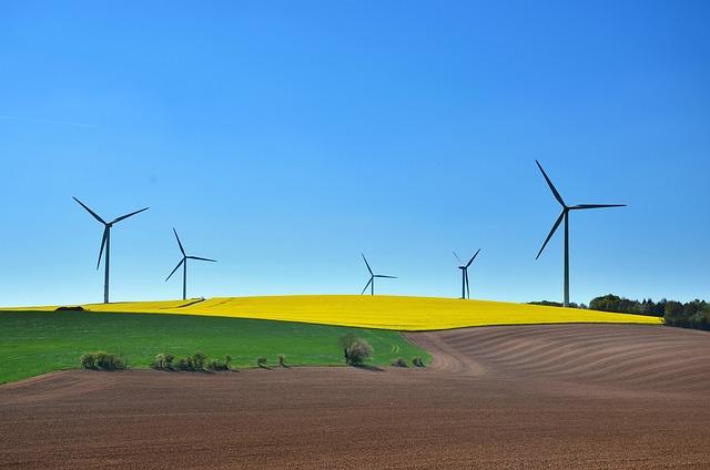 Sustainable Tour Operators Compared: TourRadar’s Eco Options vs. Independent Providers