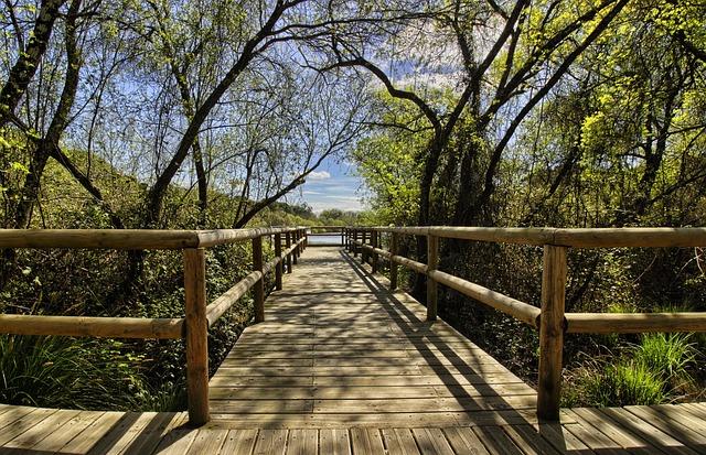 Smart Ecotourism Apps: Testing How Technology Enhances Sustainable Travel Experiences